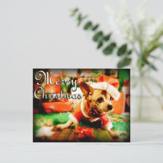 Santa Clause Chihuahua Frohe Weihnachten (Stehend Vorderseite)