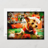 Santa Clause Chihuahua Frohe Weihnachten (Vorne/Hinten)