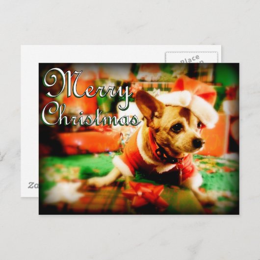 Santa Clause Chihuahua Frohe Weihnachten (Vorne/Hinten)