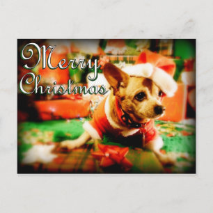 Santa Clause Chihuahua Frohe Weihnachten