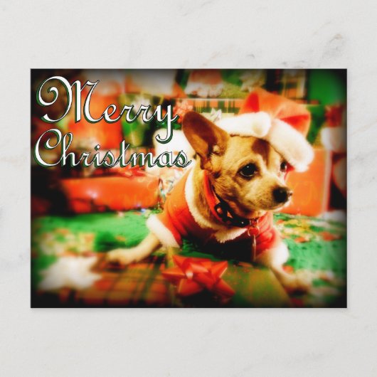 Santa Clause Chihuahua Frohe Weihnachten (Vorderseite)