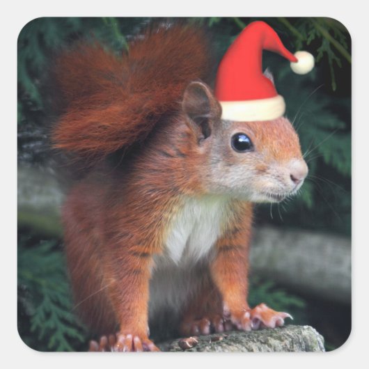 Santa Claws Aufkleber (Vorderseite)