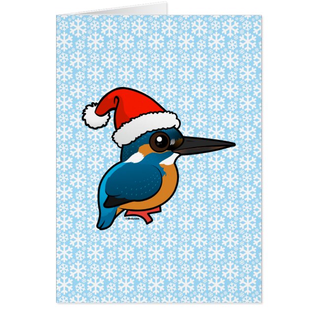 Santa Common Kingfisher (Vorne)