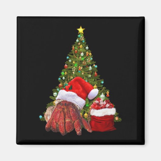 Santa Crab Funny Christmas Hermit Crab Lover Magnet (Vorne)