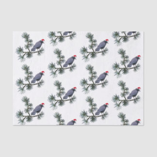 Santa Crow in Pine Tissue Paper Seidenpapier