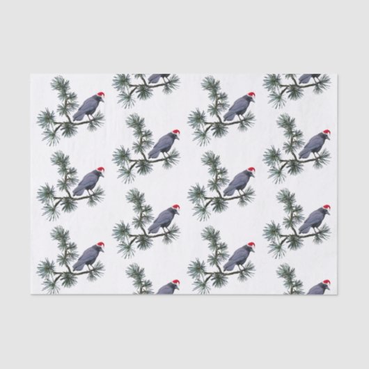 Santa Crow in Pine Tissue Paper Seidenpapier (Vorderseite)