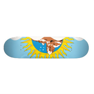 Santa Cruz, Argentinien Skateboard