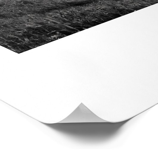 Santa Cruz Berge in Schwarz und Weiß Poster (Ecke)