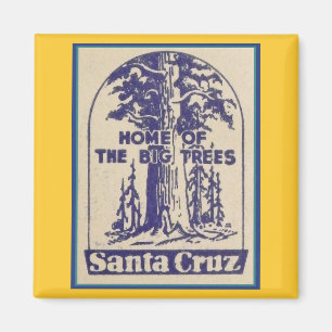Santa Cruz Califonia - Zuhause der großen Bäume Magnet