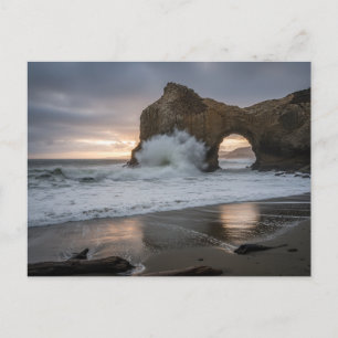 Santa Cruz California Natural Bridges Bogen Postkarte