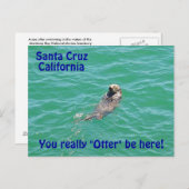 Santa Cruz California Otter Postcard Postkarte (Vorne/Hinten)