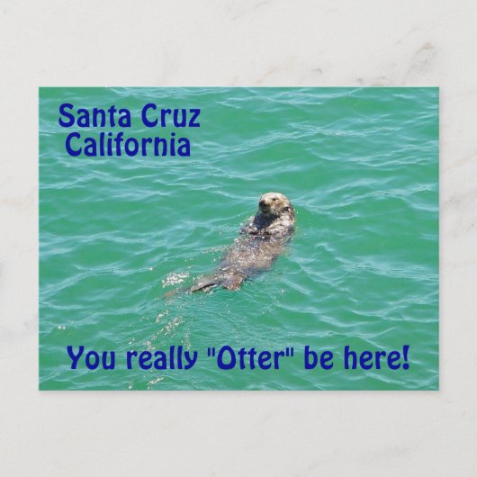 Santa Cruz California Otter Postcard Postkarte (Vorderseite)