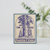 Santa Cruz California - Zuhause der großen Bäume Postkarte (Stehend Vorderseite)