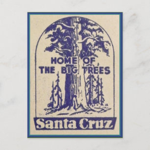Santa Cruz California - Zuhause der großen Bäume Postkarte