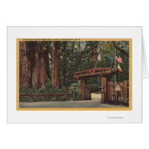 Santa Cruz County, CA-Eingang zum großen Baum-Park