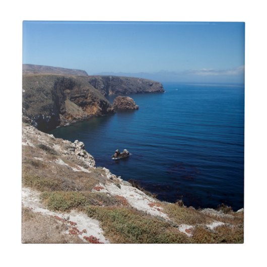 Santa Cruz Island Series 11 Fliese (Vorderseite)