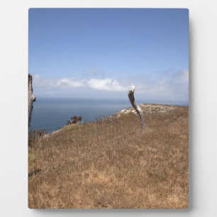 Santa Cruz Island Series 3 Fotoplatte