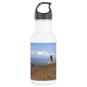 Santa Cruz Island Series 3 Trinkflasche