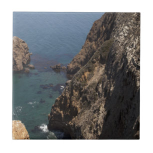 Santa Cruz Island Series 4 Fliese