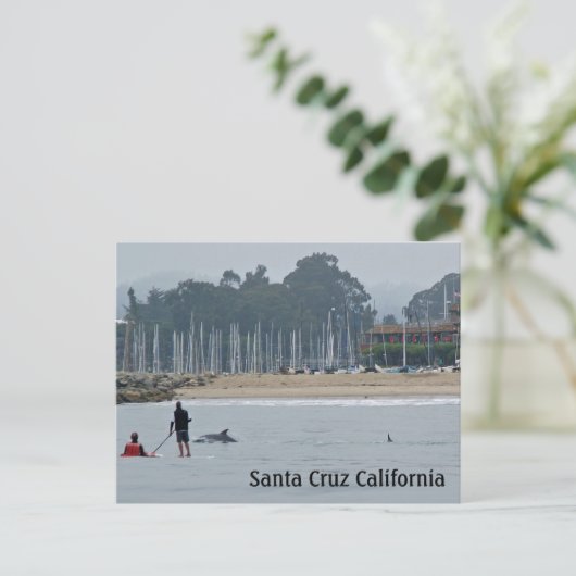 Santa Cruz Postkarte (Stehend Vorderseite)