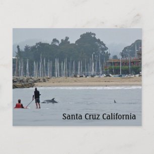 Santa Cruz Postkarte