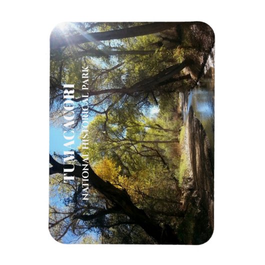 Santa Cruz River, Juan Bautista de Anza Trail, AZ Magnet (Vertikal)