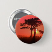 Santa Cruz Sahara Button (Vorne & Hinten)