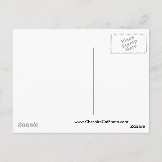 Santa Cruz Surfer Museum California Postkarte (Rückseite)