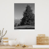 Santa Cruz vom Campus, April 1967 Poster (Küche)