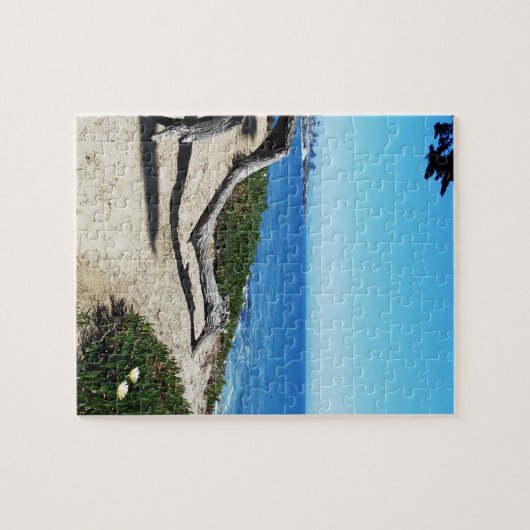 Santa- Cruzküste Puzzle (Horizontal)