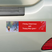 SANTA DER GNOMES AUTOAUFKLEBER (Auf Auto)