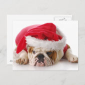 Santa Dog Feiertagspostkarte (Vorne/Hinten)