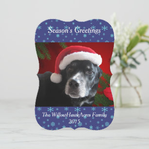 Santa Dog Labrador/Rott Mix mit Pointsettia Hinter Feiertagskarte