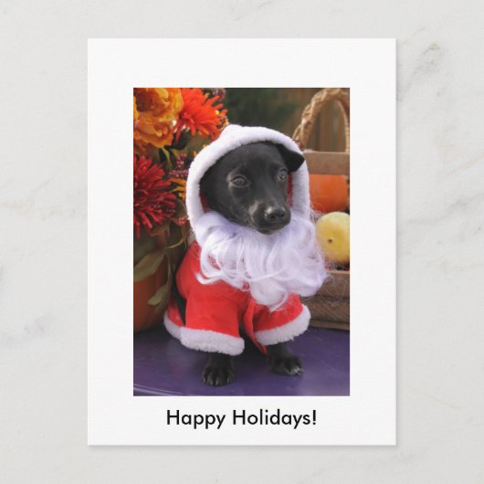 Santa Dog - Urlaubspostkarte Feiertagspostkarte (Vorderseite)