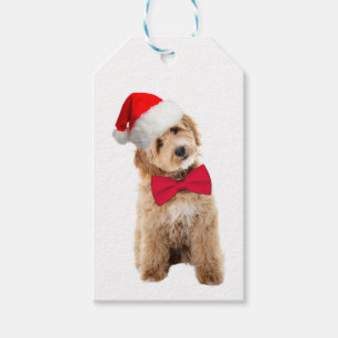 Santa Doodle Dog Geschenkanhänger