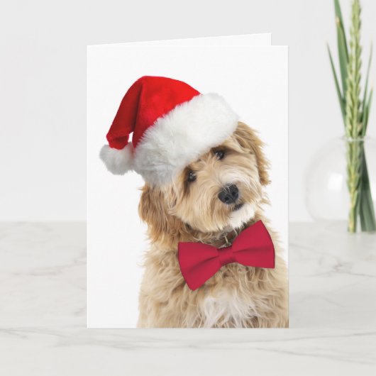Santa Doodle Dog Karte (Vorderseite)