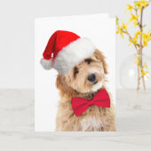 Santa Doodle Dog Karte (Gelbe Blume)