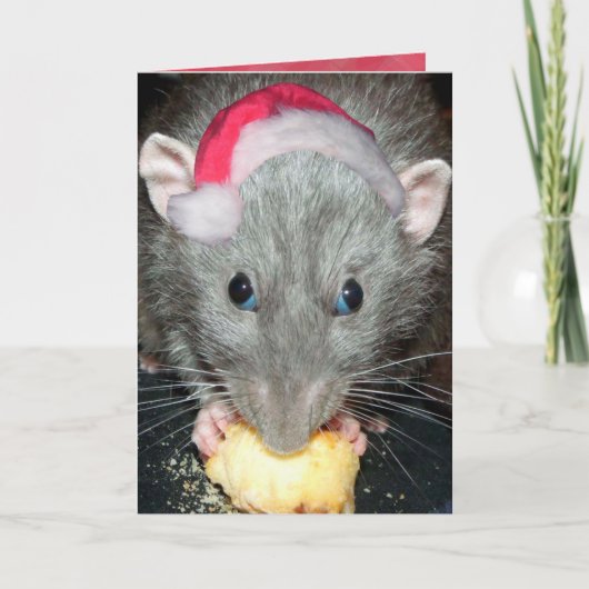Santa Dumbo-Ratte-Karte Feiertagskarte (Vorderseite)