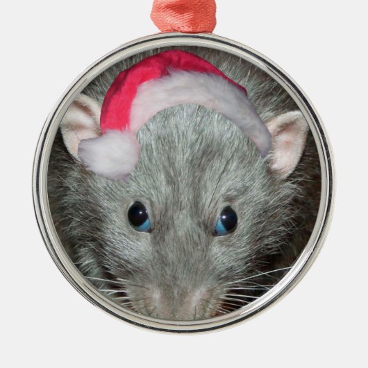 Santa Dumbo Weihnachtsfest Ornament Aus Metall (Vorne)