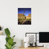 Santa Elena Canyon Poster (Heimbüro)