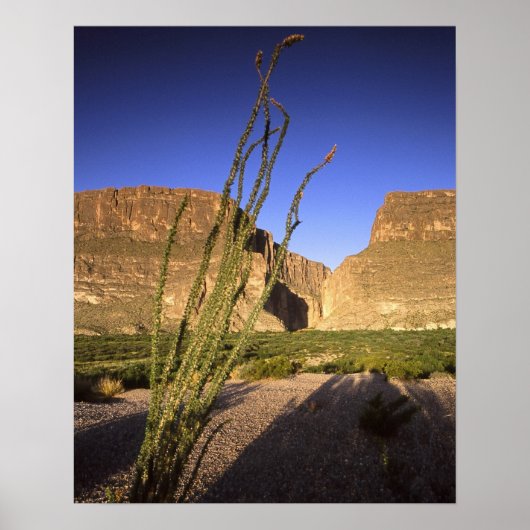 Santa Elena Canyon Poster (Vorne)