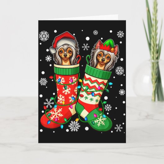 Santa Elf Chinese Crested Dog In Christmas Socks M Karte (Vorderseite)