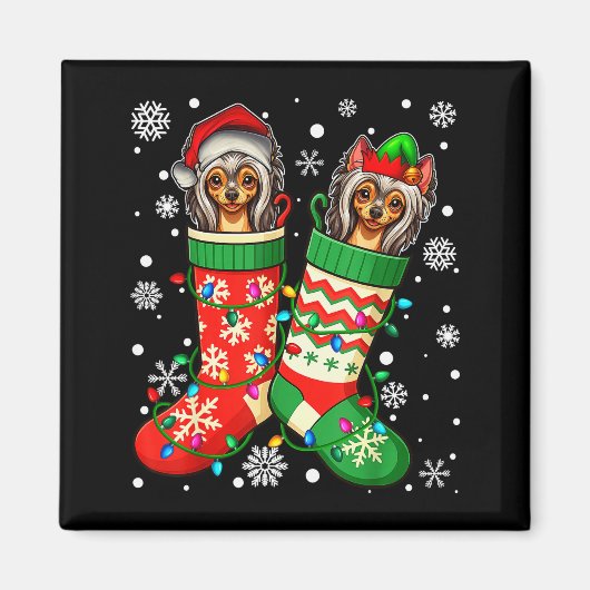 Santa Elf Chinese Crested Dog In Christmas Socks M Magnet (Vorne)