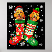 Santa Elf Golden Retriever Dog In Christmas Socks Poster (Vorne)