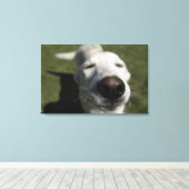 Santa Fe, New Mexico Leinwanddruck (Insitu (Holzboden))