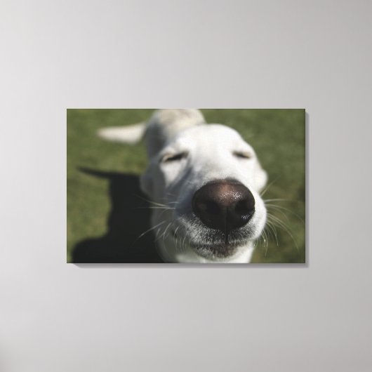 Santa Fe, New Mexico Leinwanddruck (Vorderseite)