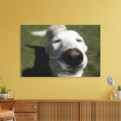 Santa Fe, New Mexico Leinwanddruck (Insitu (Wohnzimmer))