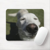 Santa Fe, New Mexico Mousepad (Mit Mouse)