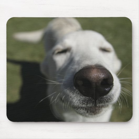 Santa Fe, New Mexico Mousepad (Vorne)