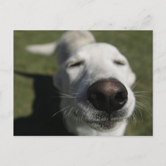 Santa Fe, New Mexico Postkarte (Vorderseite)